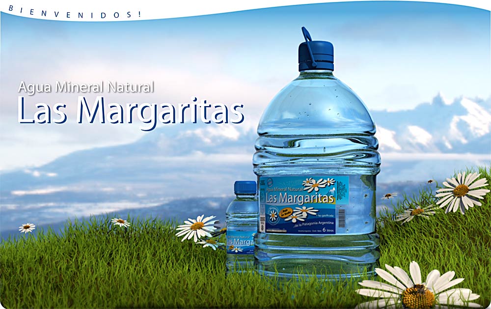 Agua Mineral Natural Las Margaritas "Pura de la Patagonia" Baja en Sodio